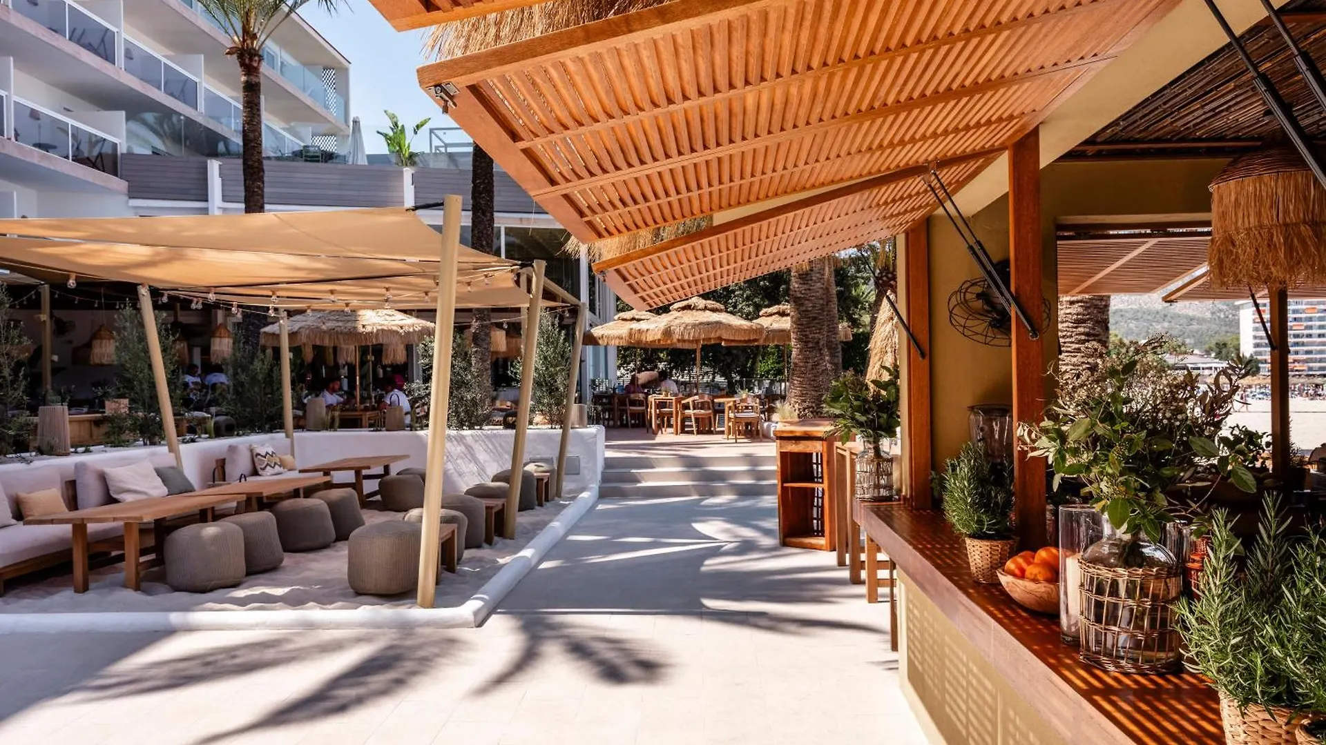 Zel Mallorca (Adults Only) Palmanova