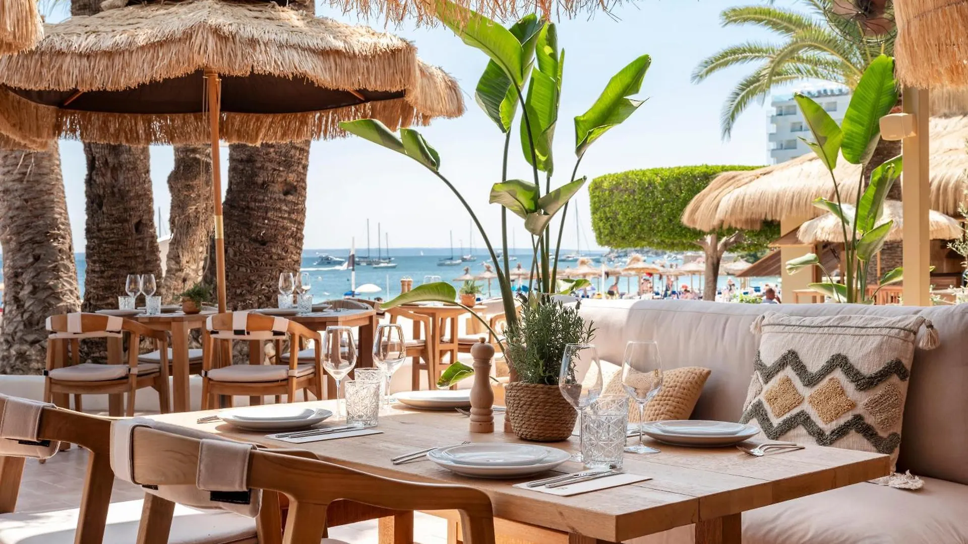 Zel Mallorca (Adults Only) Palmanova 4*,