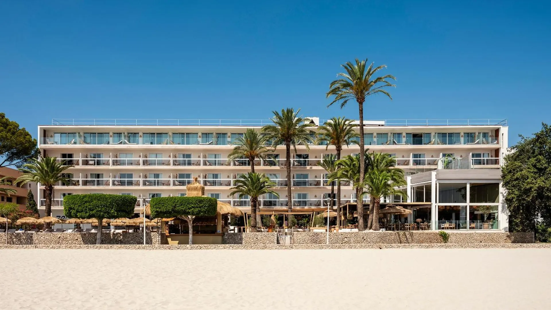 Zel Mallorca (Adults Only) Palmanova Hotel