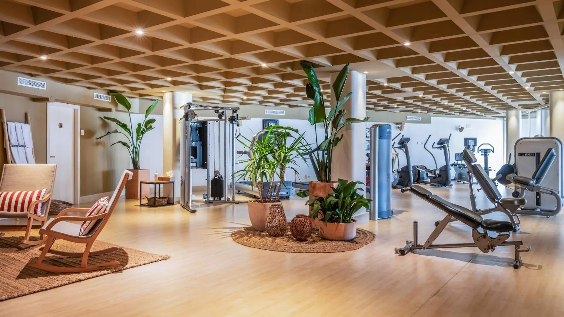 Zel Mallorca (Adults Only) Palmanova Hotel