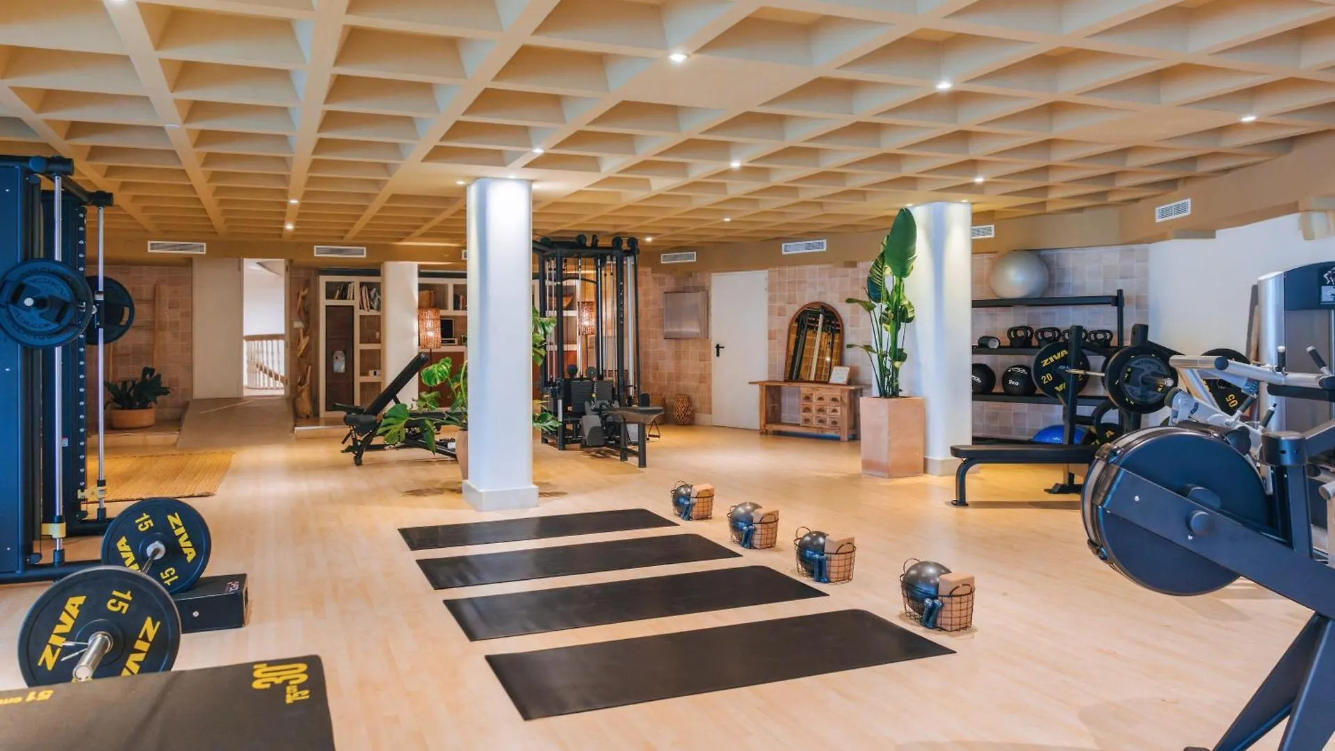 Hotel Zel Mallorca (Adults Only) Palmanova