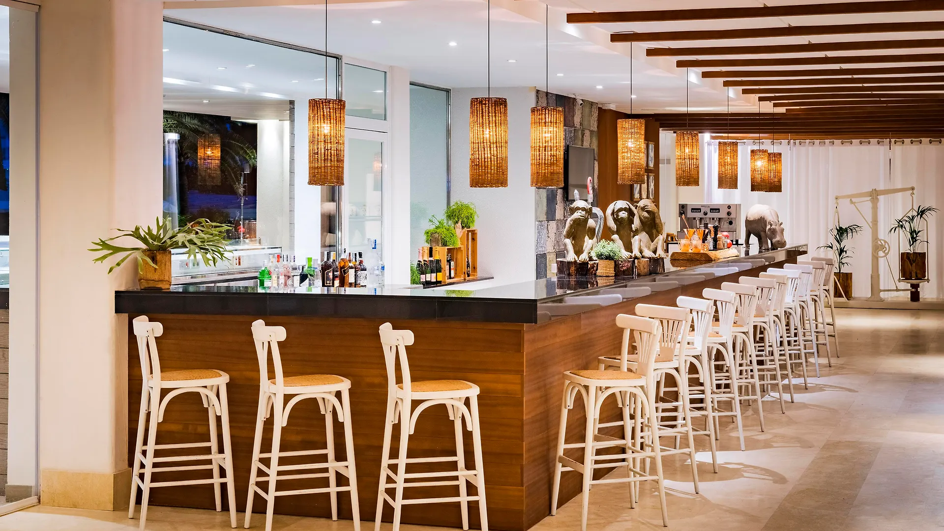 Zel Mallorca (Adults Only) Palmanova Hotell