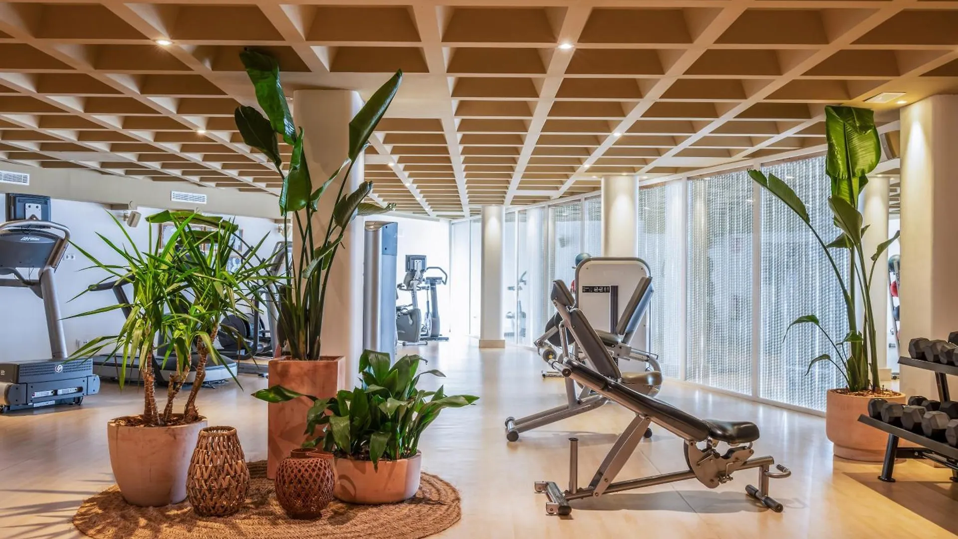 Hotell Zel Mallorca (Adults Only) Palmanova